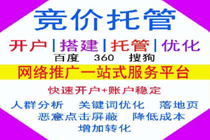 百度联盟推广网络覆盖的案例研究